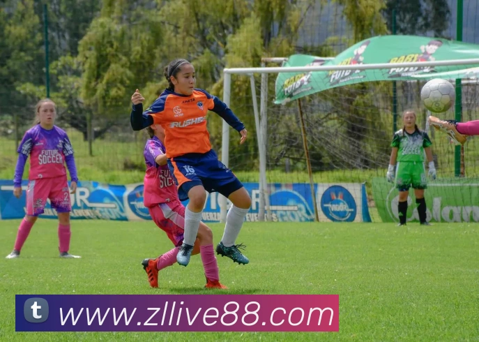 杜兰特生涯最低球权使用率场均出手仅168次引发关注